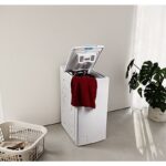 ASSET_MMS_172984375-2
