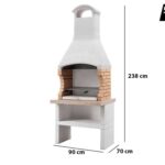 Barbacoa-Module-Grill-de-obra-para-lena-y-carbon-Palazzetti-Ariel-3