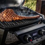 Barbacoa-de-cemento-para-carbon-Palazzetti-Aral-GR-18-2