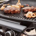 Barbacoa-de-cemento-para-carbon-Palazzetti-Aral-GR-19-3