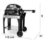 Barbacoa-de-cemento-para-carbon-Palazzetti-Aral-GR-7
