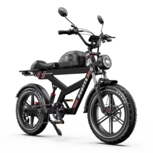 Bicicleta Eléctrica DUOTTS F20 para Adultos Pico 1000W E-Bike
